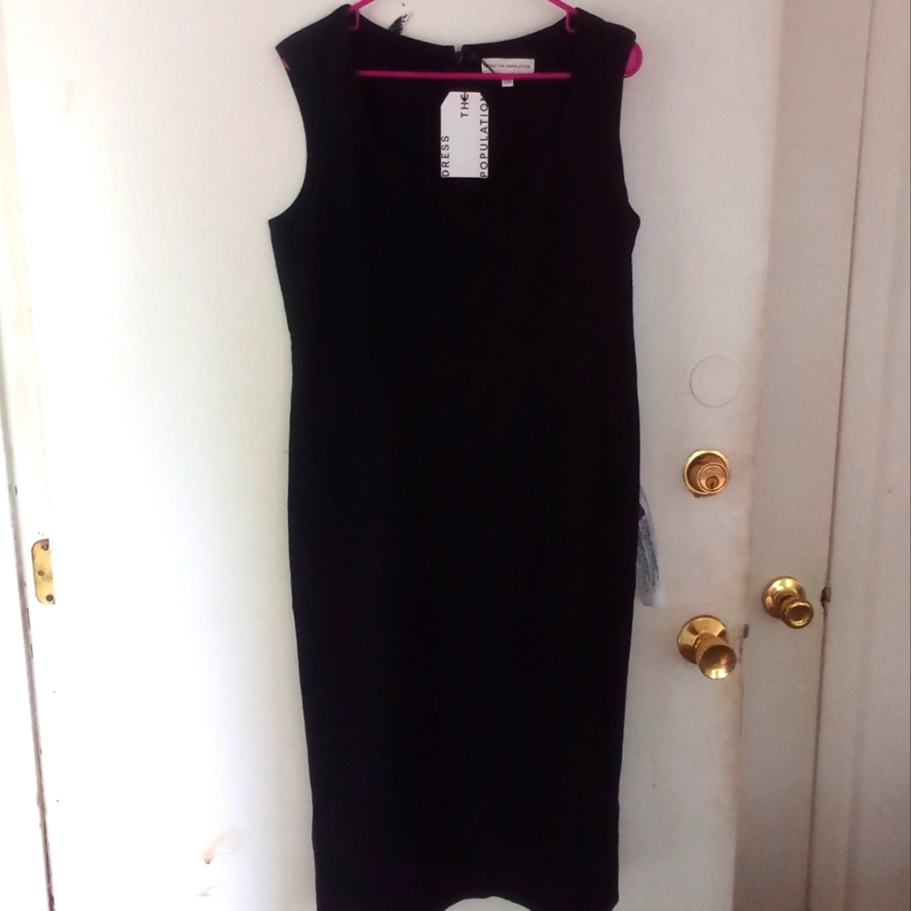 NWT DRESS THE POPULATION midi dress